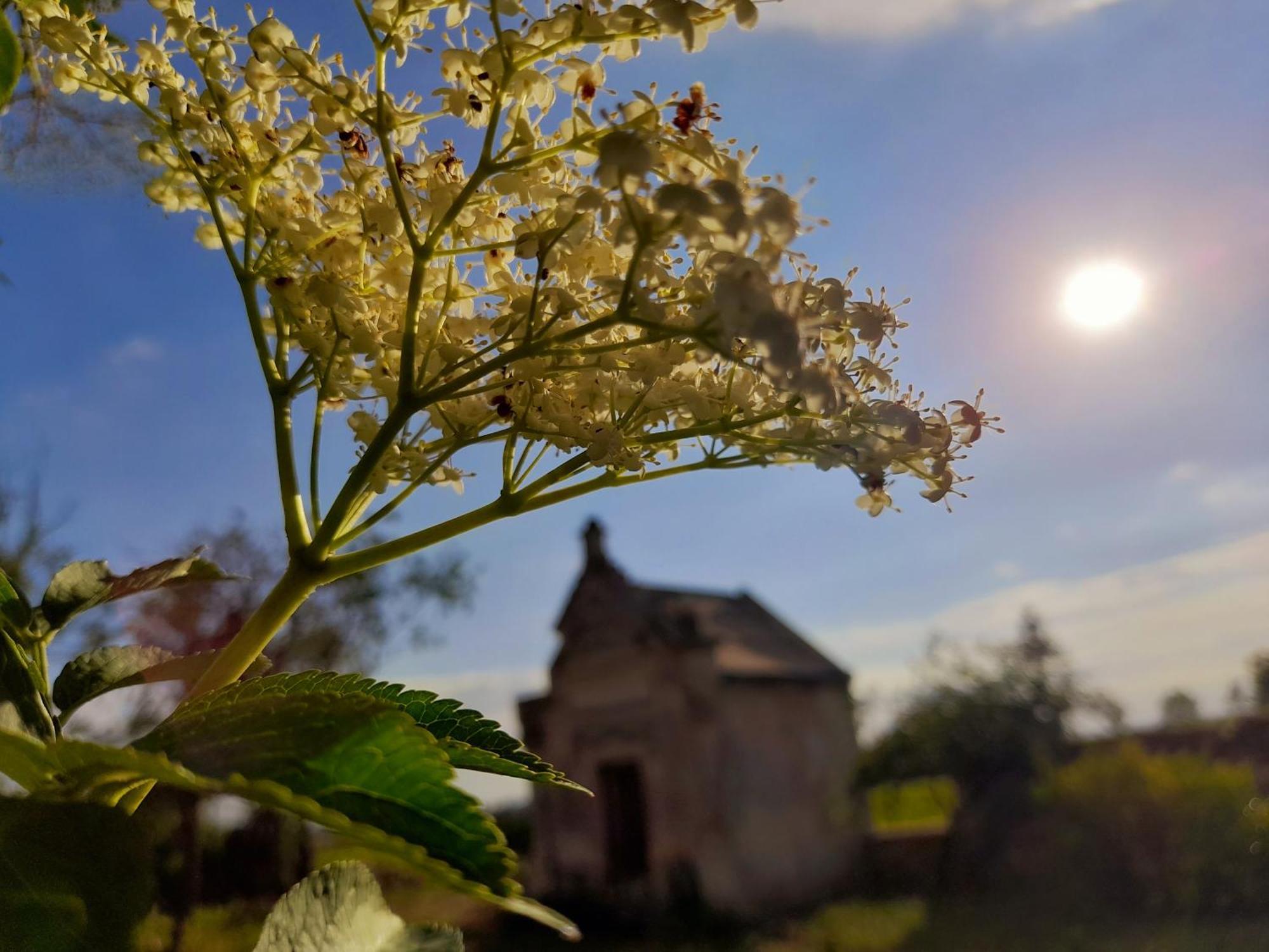 Bed and Breakfast La Galuche Angliers  Exteriér fotografie